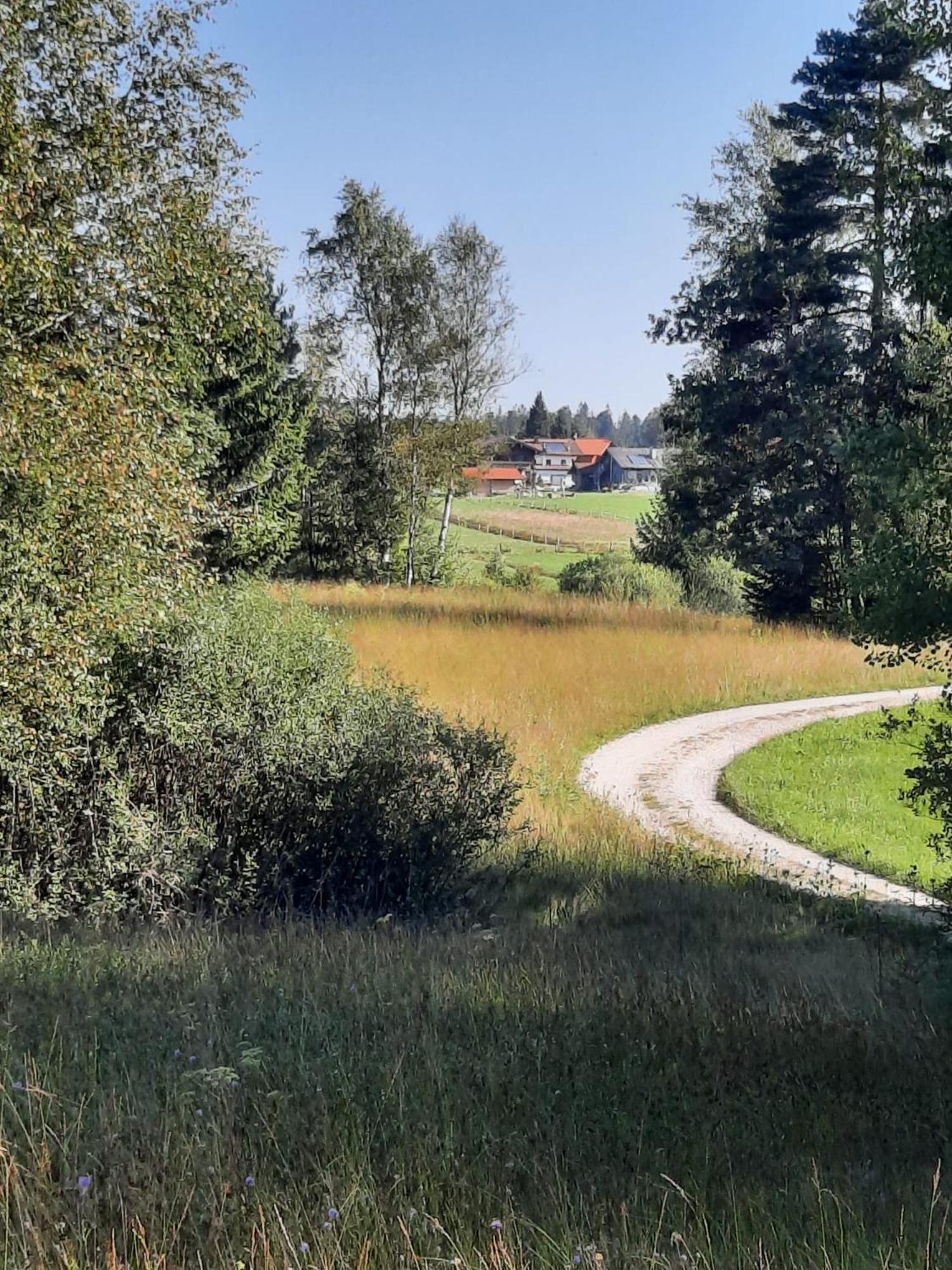 Ferienwohnung Am Wirtshof Siegsdorf Extérieur photo