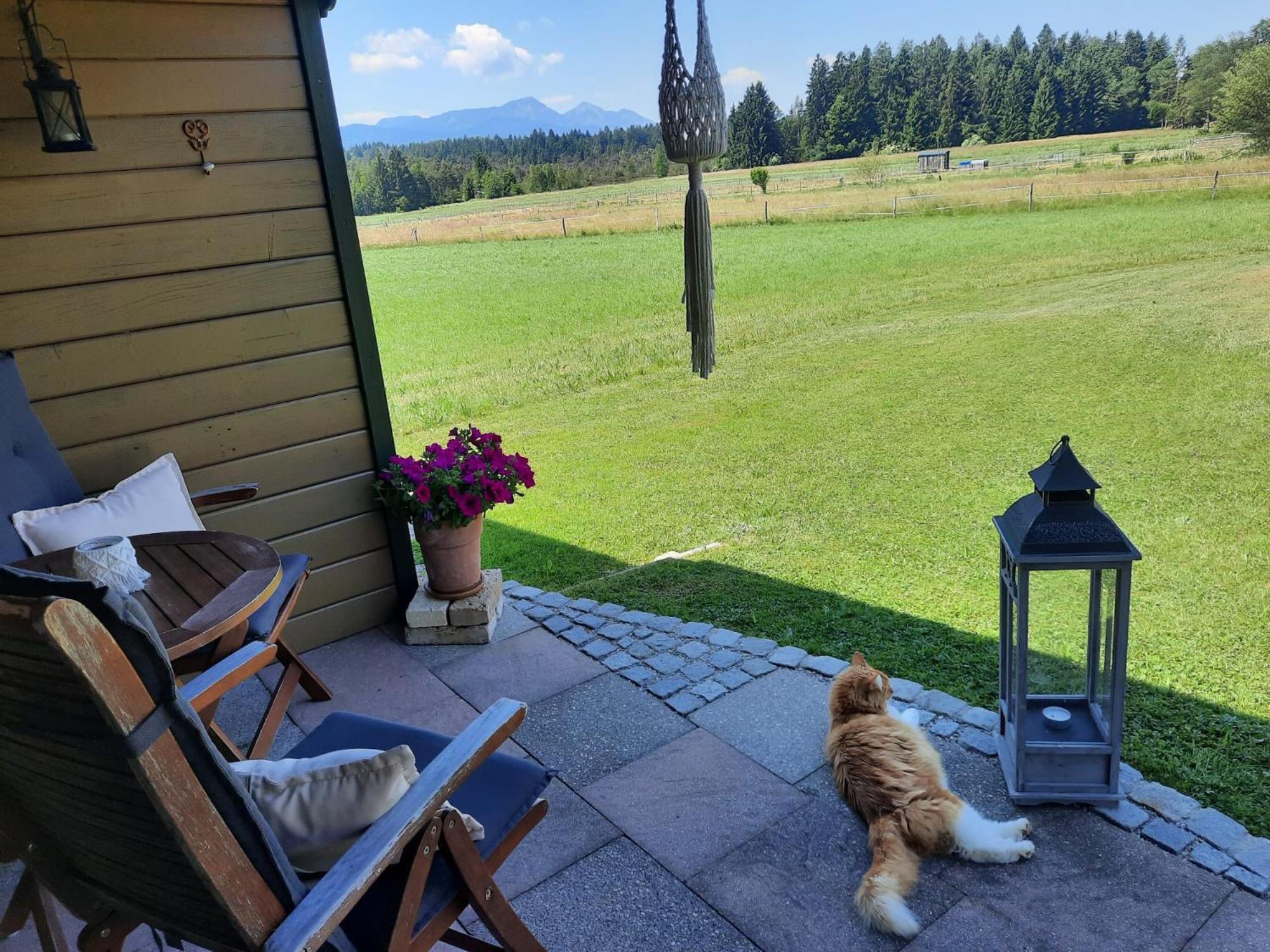 Ferienwohnung Am Wirtshof Siegsdorf Extérieur photo